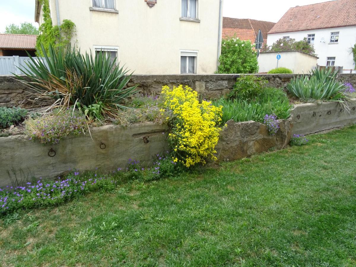 Ferienwohnung Frieda Nüdlingen Esterno foto